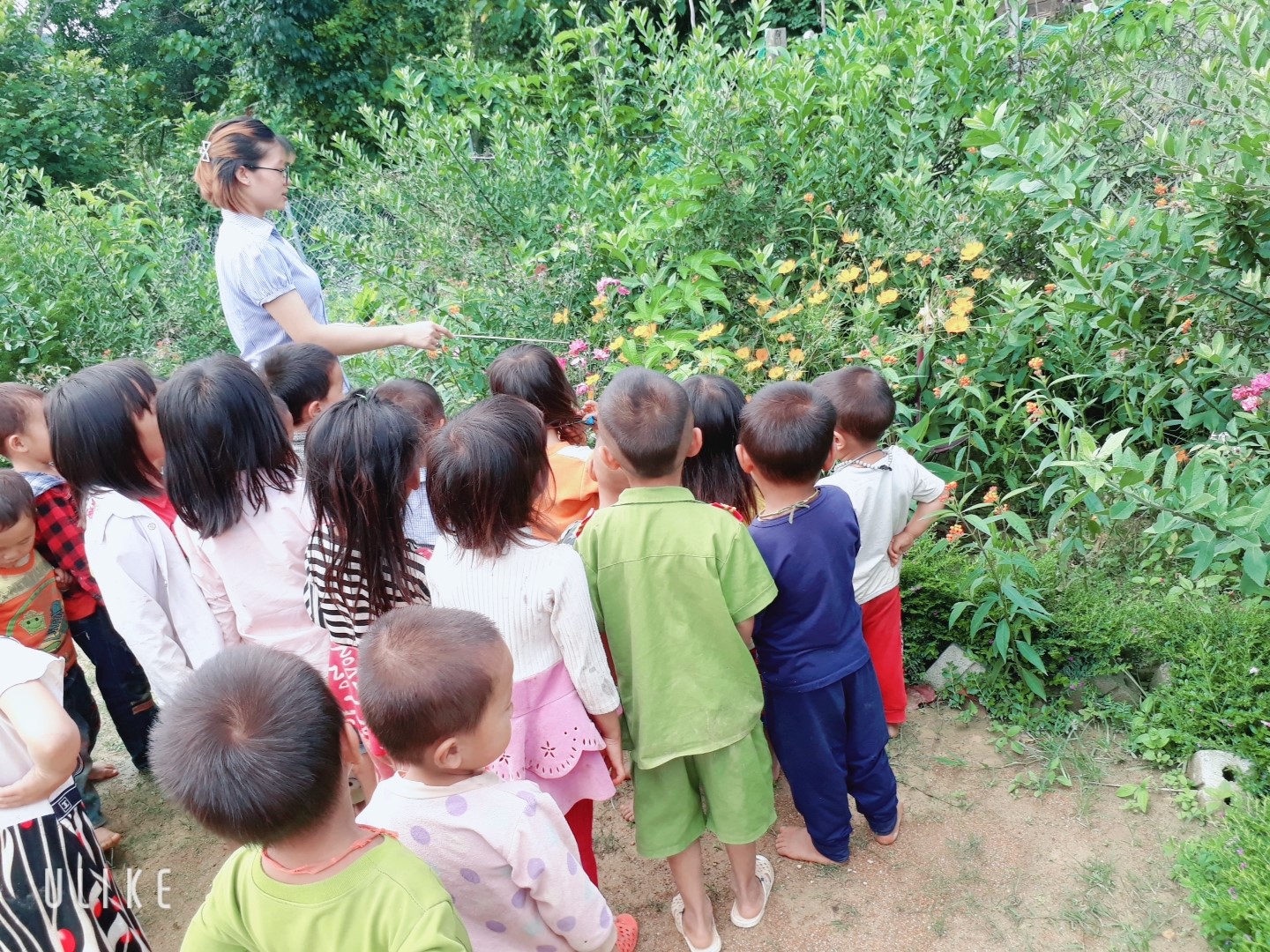 Ảnh các cháu đang tham gia hoạt động ngoài trời