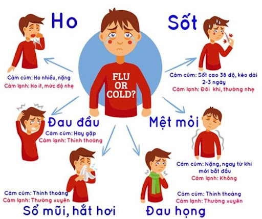 dấu hiệu cảm cúm